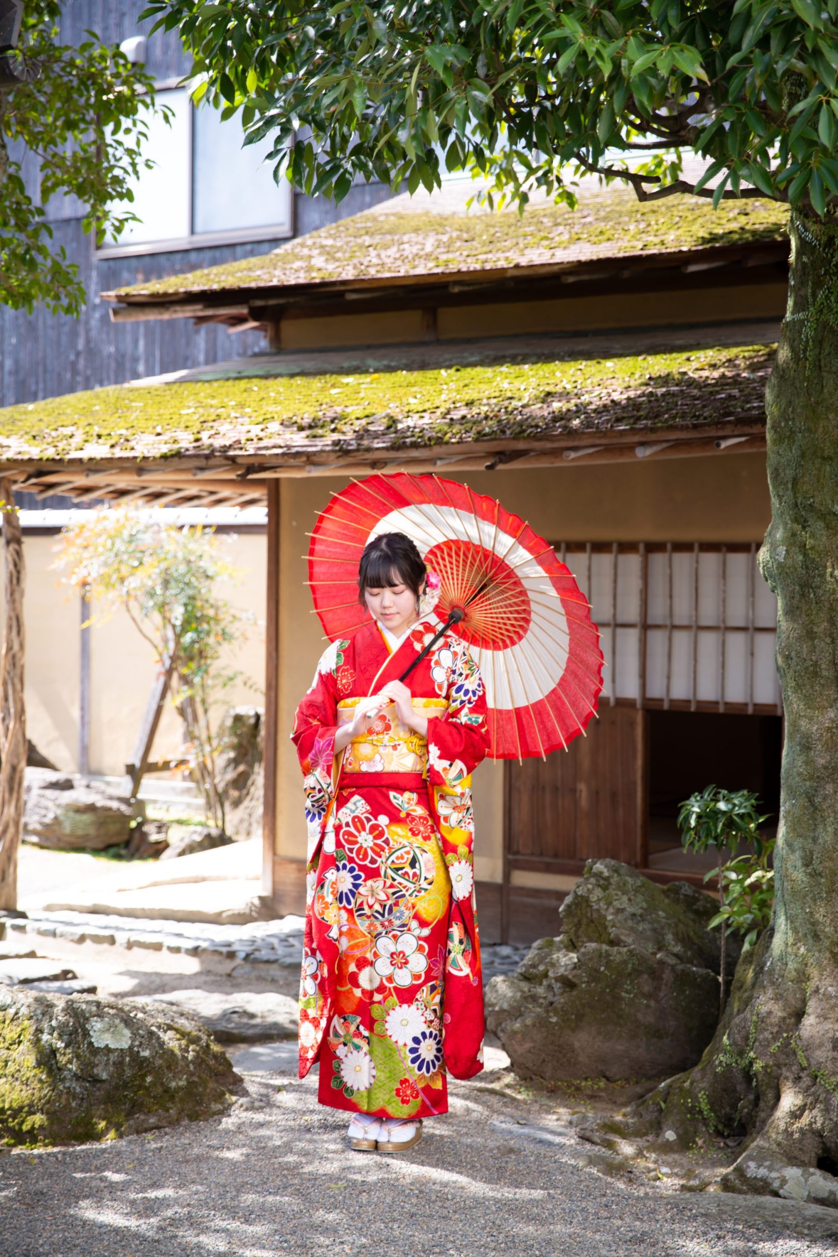 日本庭園で和傘をさし佇む赤い振袖姿の女性