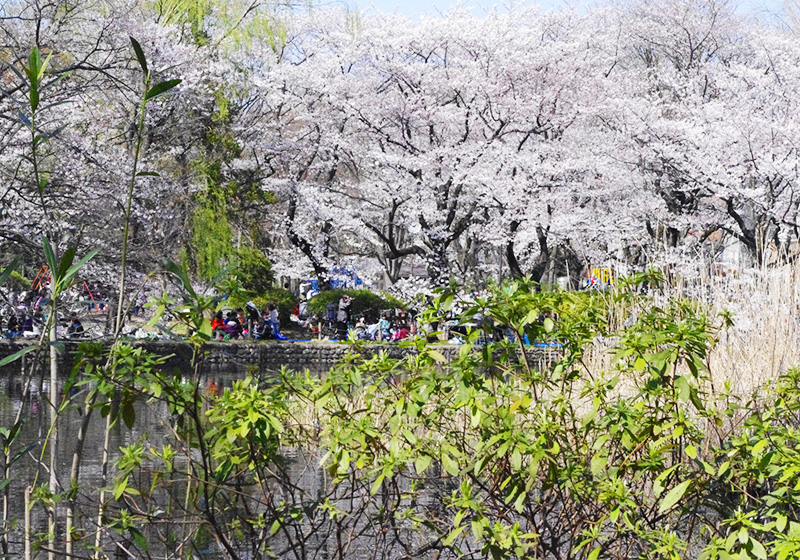 春休みこそ振袖選びの最適な時期